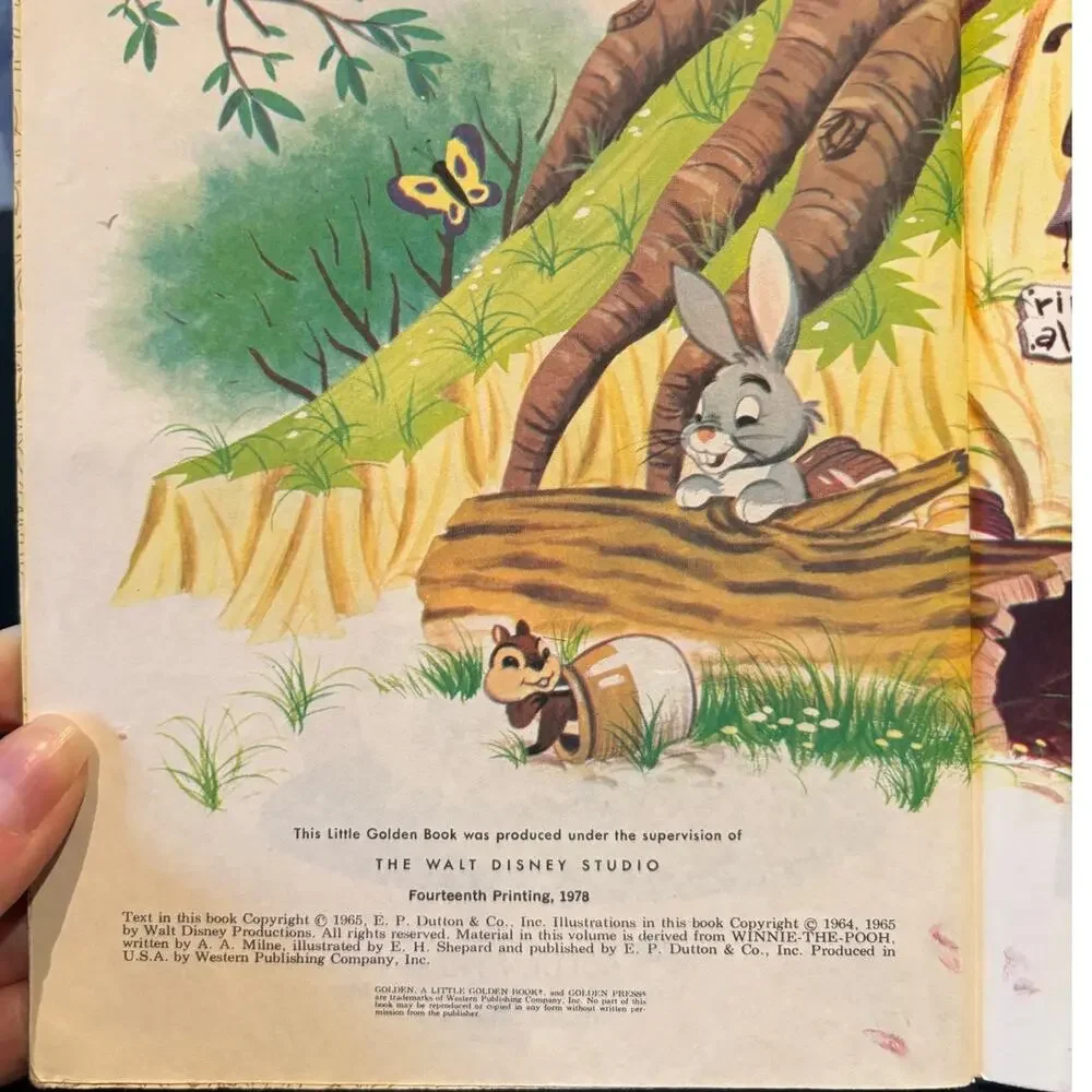 VTG 1978 14th Print, Winnie-the-Pooh Gopher, AA Milne, Disney, Little Golden, HC